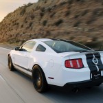 02-raceskinz-mustang